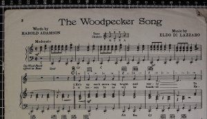 First page of The woodpecker song by Sun